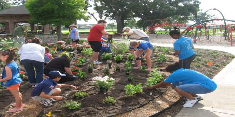 CCL Community Garden 2 (1)